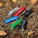 EverBrite 18-Pack LED Mini Pocket Torch with Batteries Included view 5