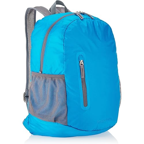 Amazon Basics Ultralight Portable Packable Day Pack