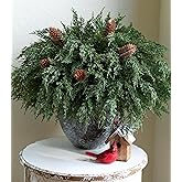 Cedar Stems Artificial Norfolk Pine Branches for Christmas Decor, 12 PCS Fake Pine Stems with 5 PCS Big Pine Cones Branches Realistic Fake Plants Faux Greenery for Vases DIY Garland Xmas Table Indoor