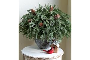 IVYDALE Cedar Stems Artificial Norfolk Pine Branches for Christmas Decor, 12 PCS Fake Pine Stems with 5 PCS Big Pine Cones Branches Realistic Fake Plants Faux Greenery for Vases DIY Garland Xmas Table Indoor