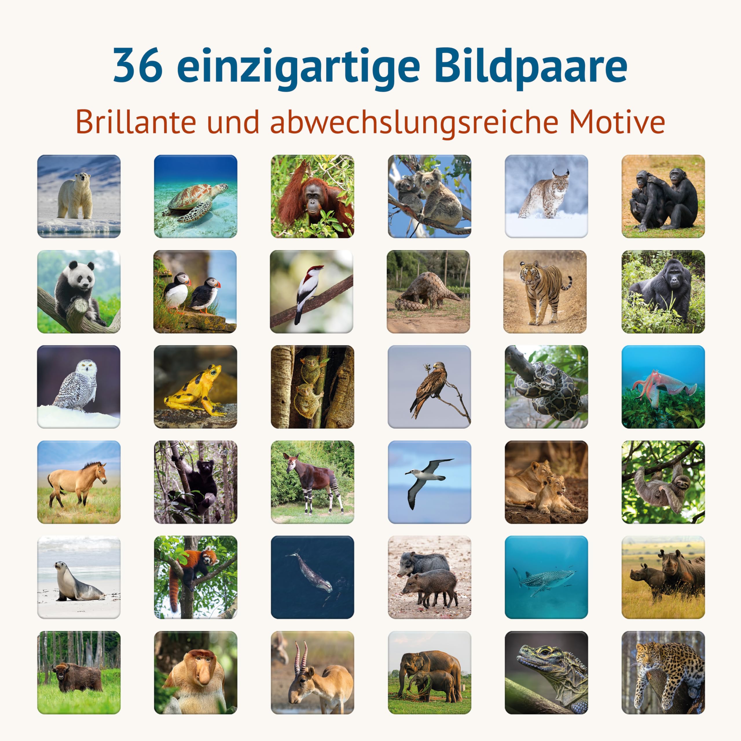 Starnberger Spiele - Einzigartig - Bedrohte Tierarten - Memospiel - Kartenspiel für Erwachsene und Kinder ab 6 Jahren - Geschenk für Tierliebhaber 2