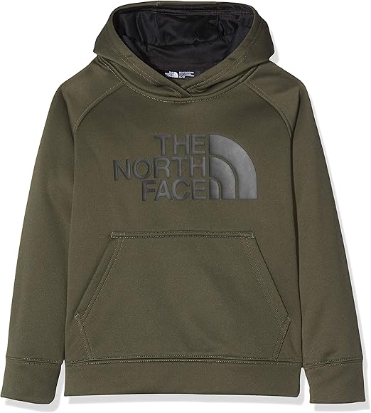 the north face surgent hoodie junior
