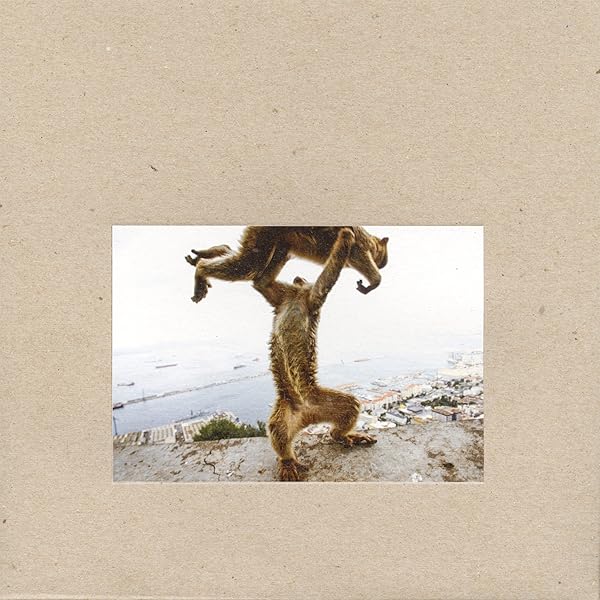 SHELLAC Excellent Italian LP シェラック アルビニ Shellac – Excellent Italian Greyhound | Releases | Discogs