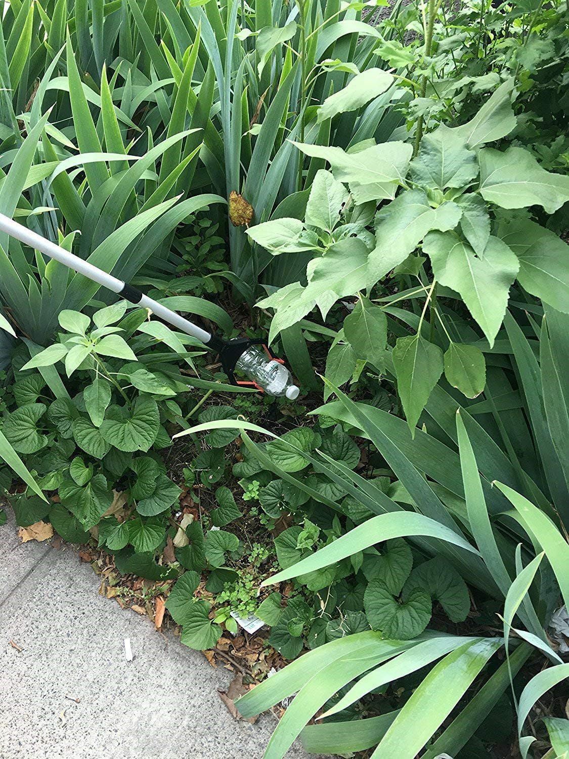 best reacher grabber for seniors on Scoolr Foldable Reacher Grabber Tool 2pcs Ergonomic Lightweight Reaching Aid Reacher Tool Long Arm Reaching Claw Hand Grabber Trash Pickup Tool For Wheelchair Disabled Blue 81cm 32