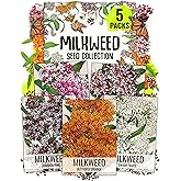Seed Needs Milkweed Seeds Variety Pack of 5 Perennial Flowers for Monarchs | Asclepias tuberosa (Butterfly Weed) Asclepias incarnata Swamp Milkweed Asclepias speciosa (Showy) Asclepias syriaca (Common)