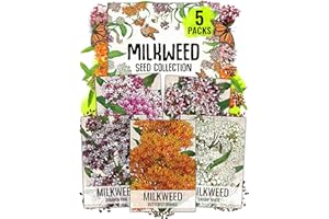 Seed Needs Milkweed Seeds for Planting a Butterfly Garden to Attract Monarch Butterflies - Collection of Pink, Orange & White Asclepias Milk Weed Variety Pack (5 Packs)