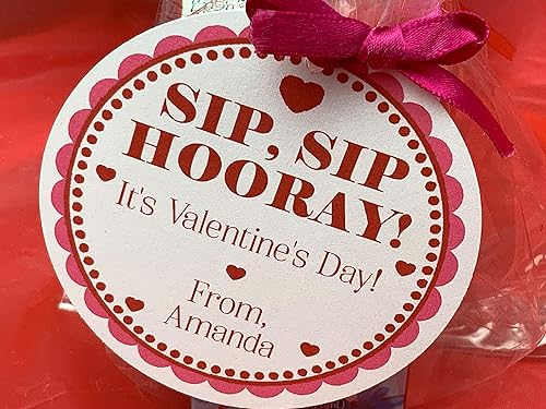 Peppa pig 12pcs resuable plastic party favors goodie gift bags Amazon.com: Sip Sip Hooray It's Valentine's Day, Kids Valentines