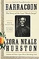 Barracoon: The Story of the Last "Black Cargo"