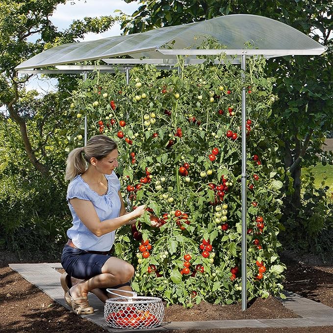 Beckmann Kg Psn1 Schutzdach Fur Pflanzen Grosse 1 100 X 112 Cm Amazon De Garten