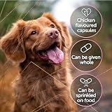 Protexin CystoPro for Dogs & Cats Urinary Health Probiotics 120 Capsules view 7