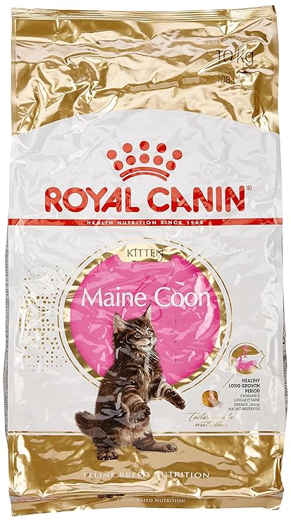royal canin kitten food 10kg