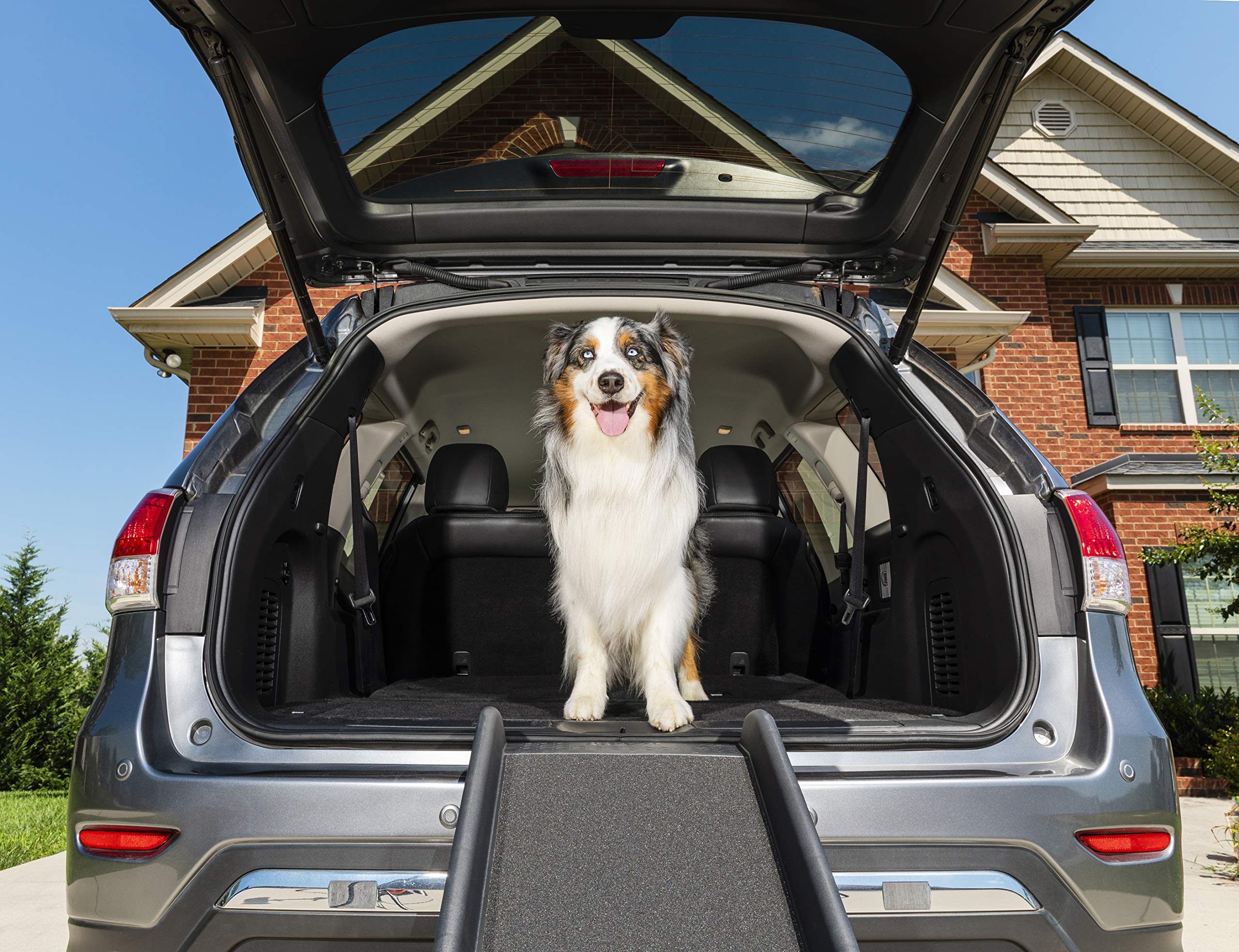 PetSafe Happy Ride Folding Pet Ramp for Cars, Trucks, & SUVs- 62 Inch Portable for Large Dogs with Siderails, Non-Slip- Weighs Only 10 lb, Supports up to 150 lb, Easy Storage, Folds in Half