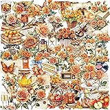 50PCS Orange Rose Stickers PET Transparent Stickers