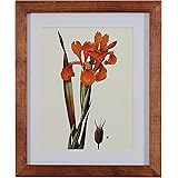 Amazon Brand – Stone & Beam Modern Orange Floral Print Wall Art, Weathered Brown Frame, 14.25" x 17.25"