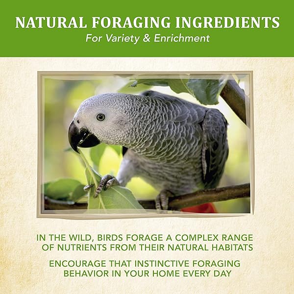 KAYTEE FOOD FROM THE WILD NATURAL PET PARROT FOOD, 2.5 POUND
