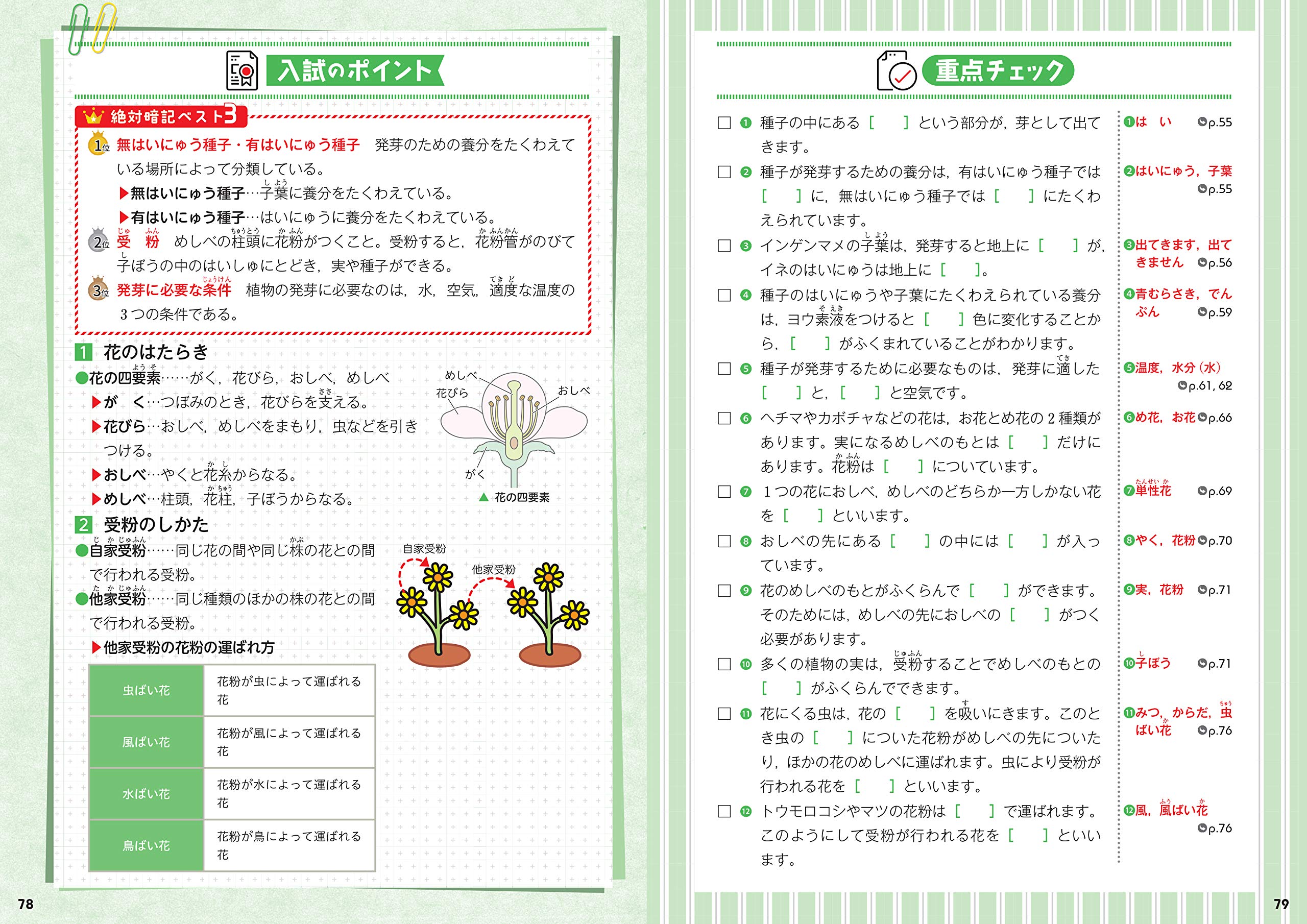 までの 6 15まで価格 小学高学年 算数国語理科社会 8bcqf M 自由自在 こちらで Bravobistrogrill Ca までの 6 15まで価格 小学高学年 算数国語理科社会 8bcqf M 自由自在 こちらで Bravobistrogrill Ca