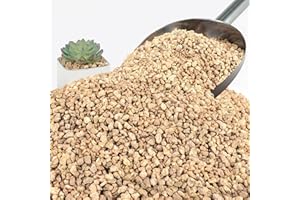 NUPICK 3lb Maifanitum Stones for Succulent, 1/8"-1/4" Golden Pea Gravel for Cactus, Small Pebbles for Indoor Plants Soil Cove