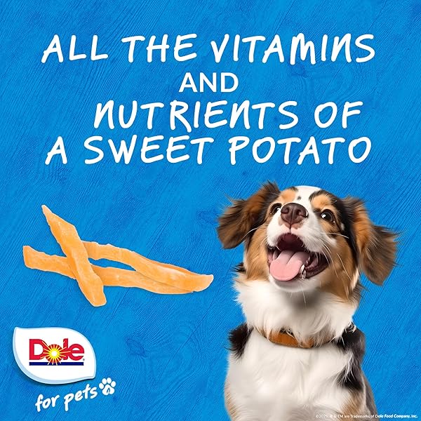 DOLE FOR PETS AIR DRIED SWEET POTATO DOG TREATS, SINGLE INGREDIENT DOG TREATS MADE WITH REAL SWEET POTATO, NO WHEAT, CORN, SOY, ARTIFICIAL FLAVORS, COLORS, OR PRESERVATIVES, 6 OZ