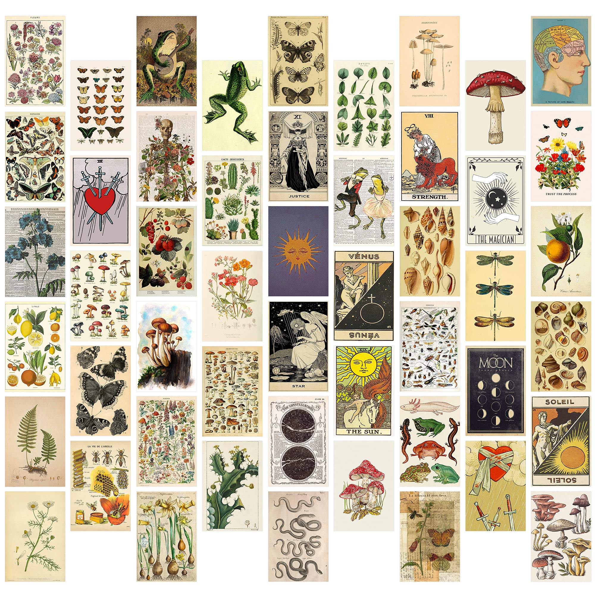 GROBRO7 50Pcs Vintage Botanical Wall Collage Kit, Aesthetic Picture Indie Room Decor, Art Posters for Dorm Wall Decor, Room Art Unique Display for VSCO Girls Boys Bedroom for Primitive Creature Lovers