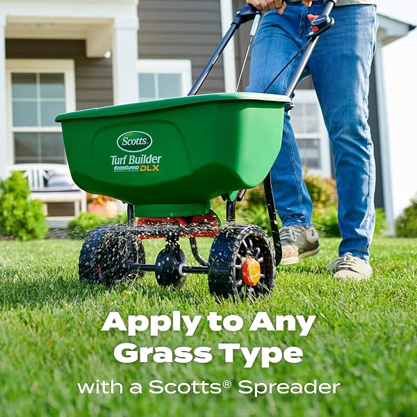 SCOTTS TURF BUILDER STARTER FOOD FOR NEW GRASS, 15 LB. – LAWN FERTILIZER FOR NEWLY PLANTED GRASS, ALSO GREAT FOR SOD AND GRASS PLUGS – COVERS 5,000 SQ. FT.