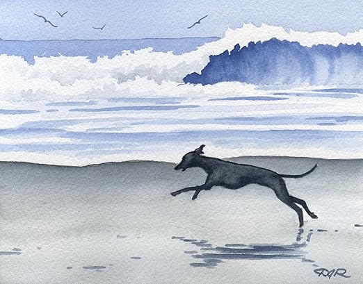 greyhound art