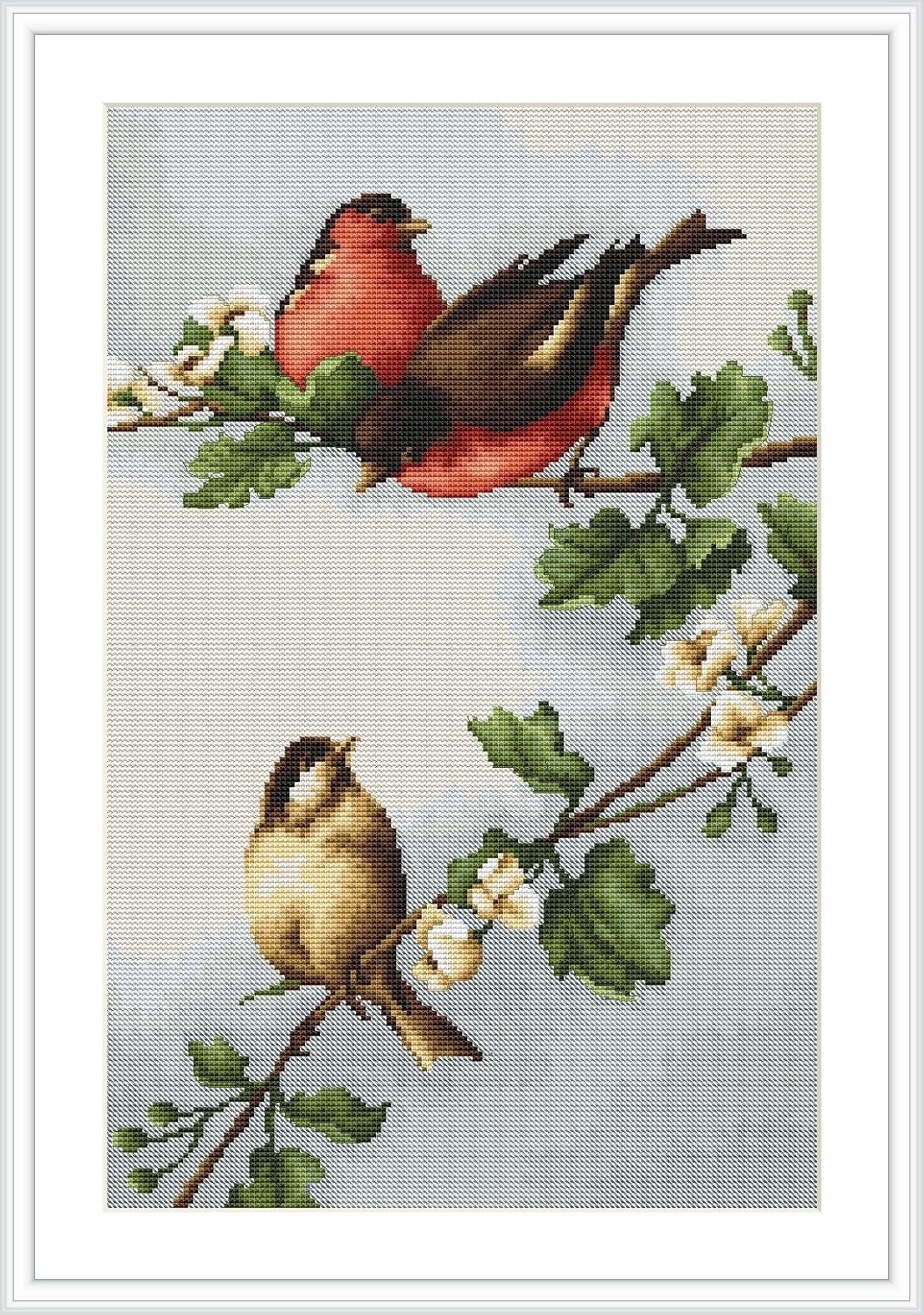 LucasS Birds on Branch Counted Cross Stitch Kit Amazon.co.uk Kitchen