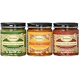Zesteez Premium Combo Pack Mint Cilantro, Mango Tango & Tomato Chunky, 9 oz Each, 3 Count