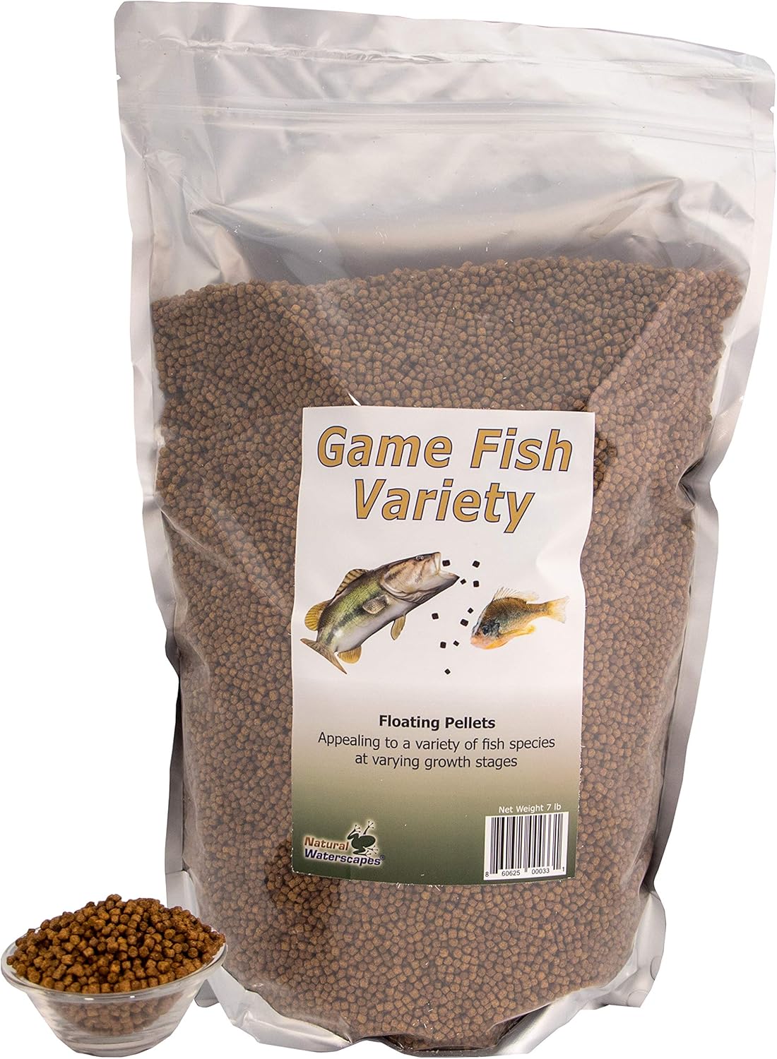 jack russell mixed with boston terrier