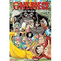 Amazon.com: One Piece Color Walk Compendium: New World to