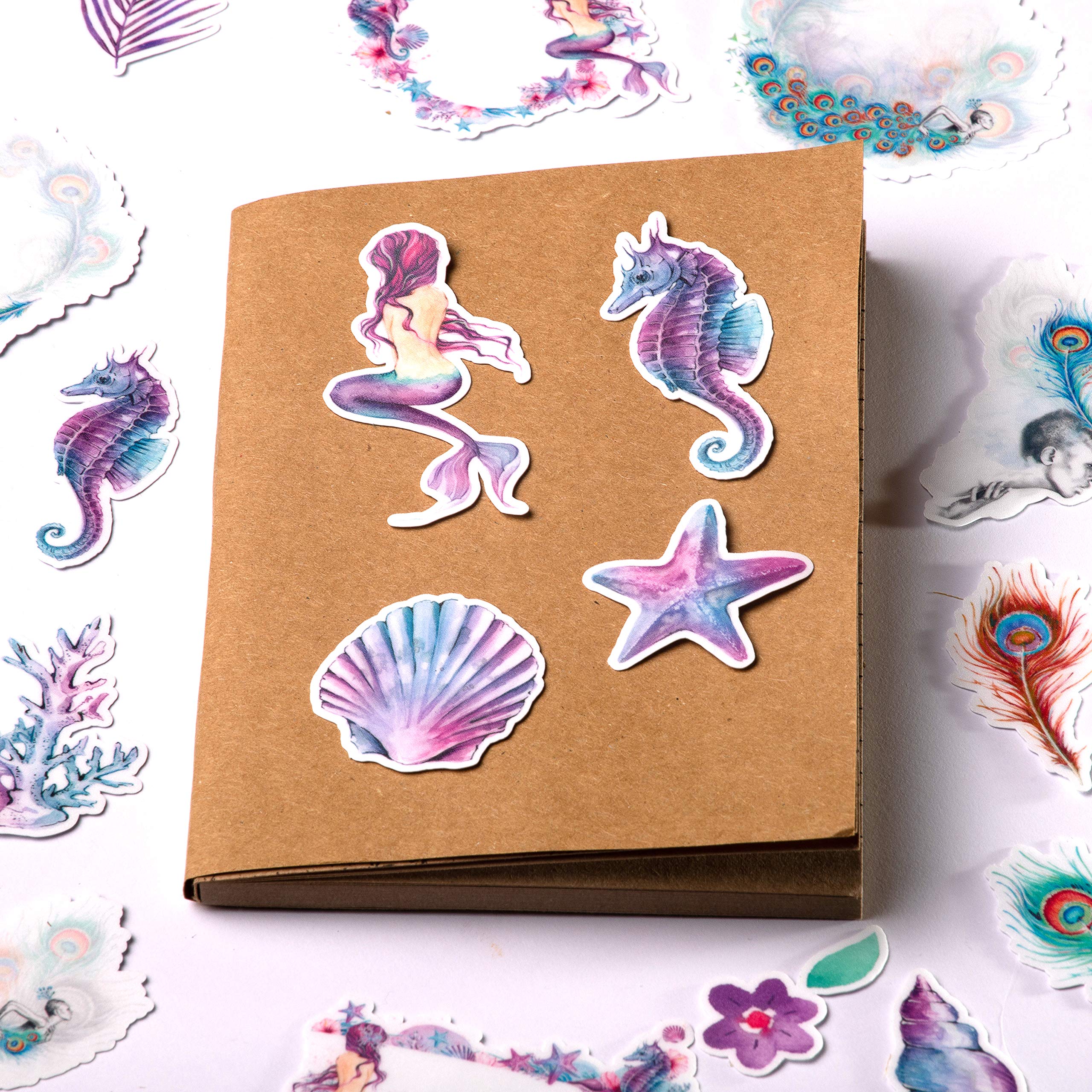 View 4