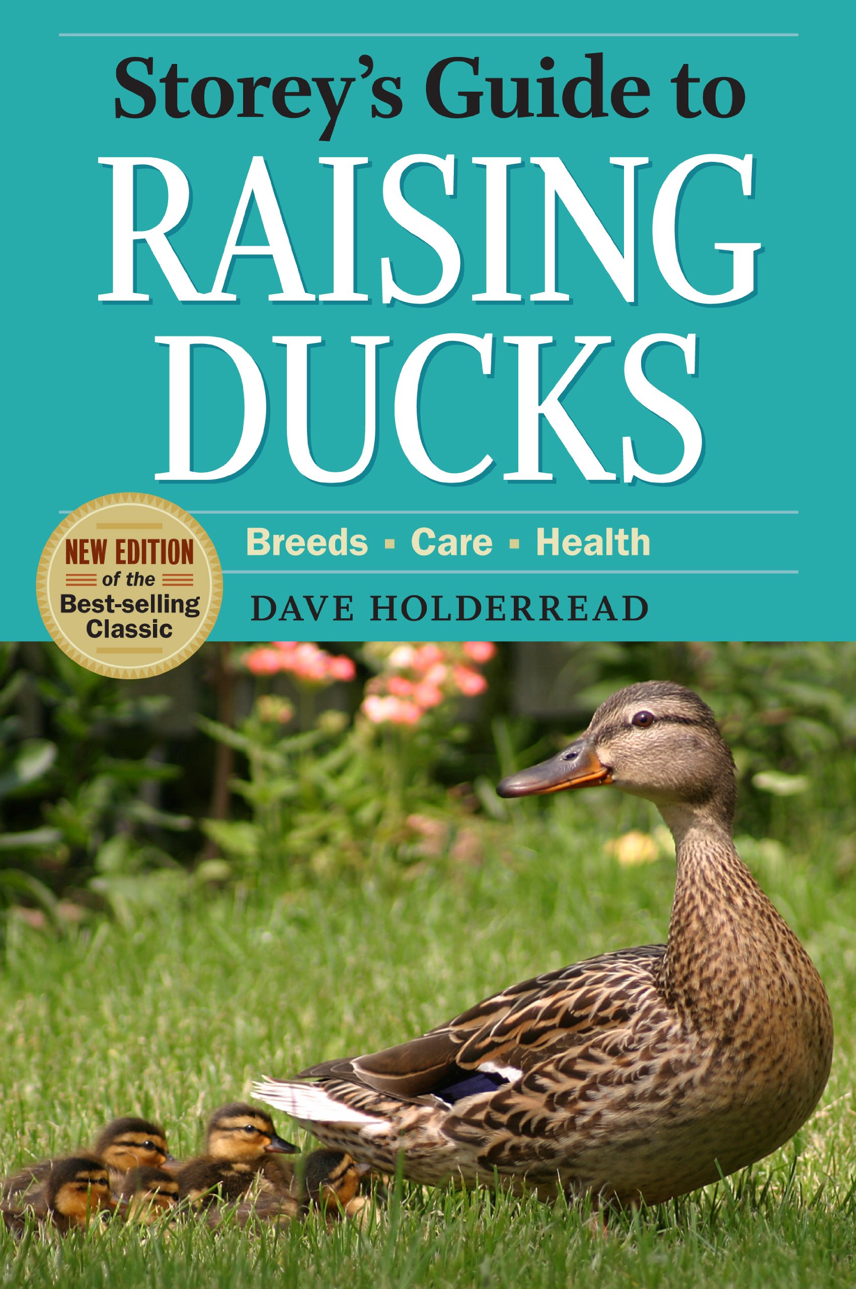 Storey S Guide To Raising Ducks 2nd Edition Breeds Care Health Holderread Dave 9781603426923 Books Amazon Ca
