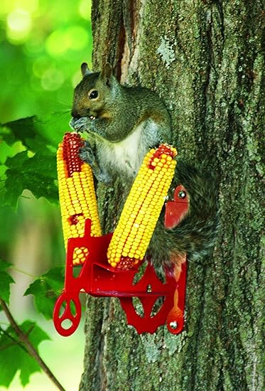 Amazon Com Stokes Select Tractor Cob Squirrel Feeder Red 2