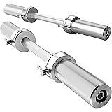 Annzoe Olympic Dumbbell Handles Pair 20" of Dumbbell Handles Weight Plates Holds 300 lbs with Star Collars Weightlifting Acce