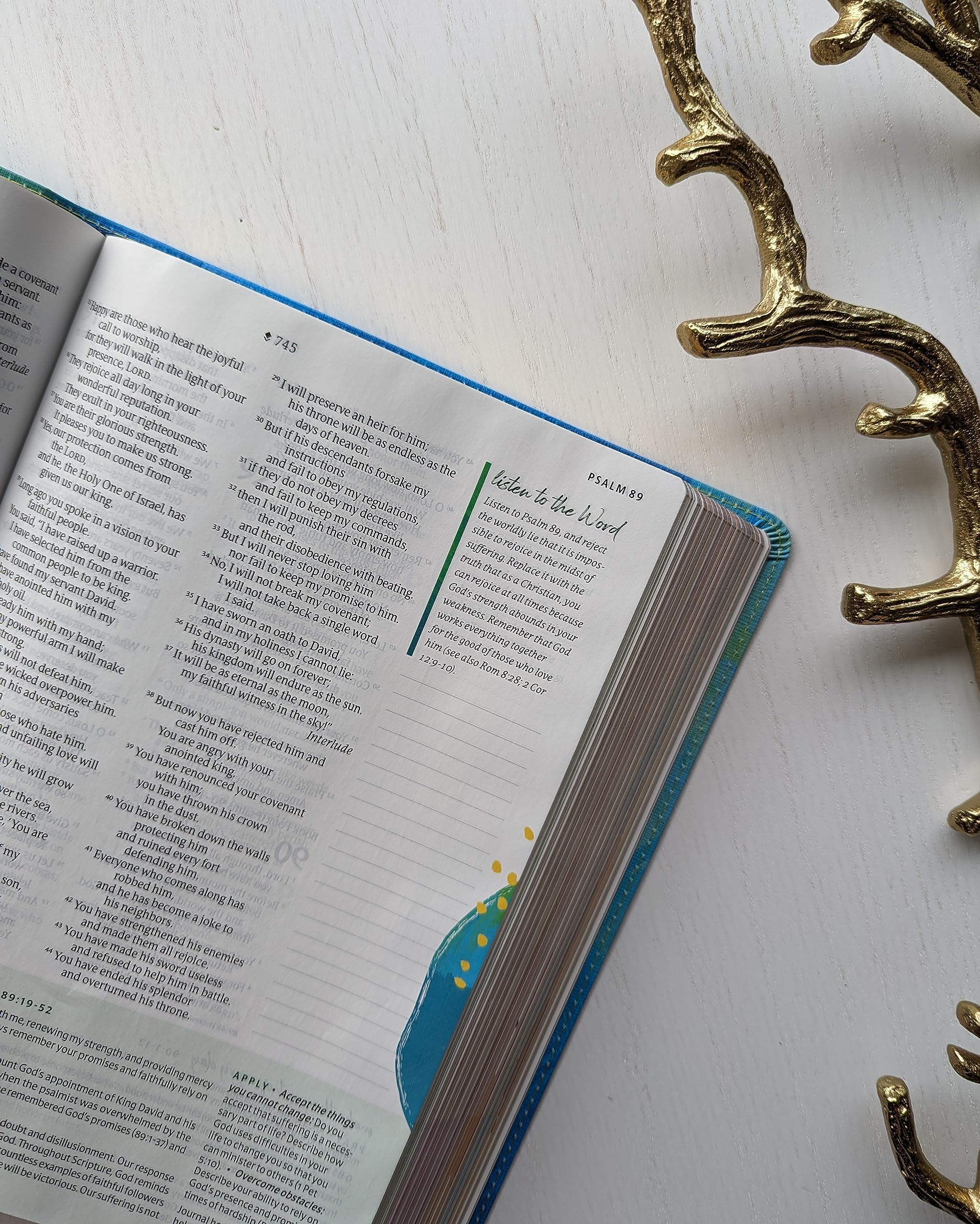 NLT Courage For Life Study Bible for Women, Filament Enabled (LeatherLike, Brushed Aqua Blue) NLT Courage For Life Study Bible for Women, Filament Enabled (LeatherLike, Brushed Aqua Blue) Imitation Leather