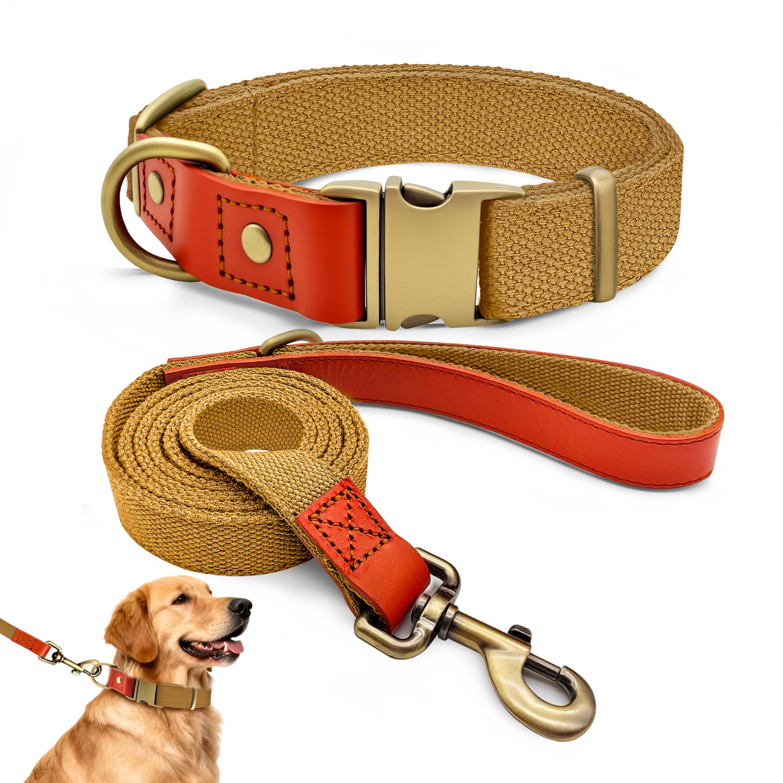 QRDA Dog Collar and Lead Set Khaki Colour Personalized Collar Adjustable Tactical Belt for Dogs Medium Large Dogs, XL