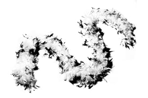 FLYDREAMFEATHERS 60 Gram, 2 yards Long Chandelle Feather Boa Great for Party, Wedding, Halloween Costume, Christmas Tree, Decoration