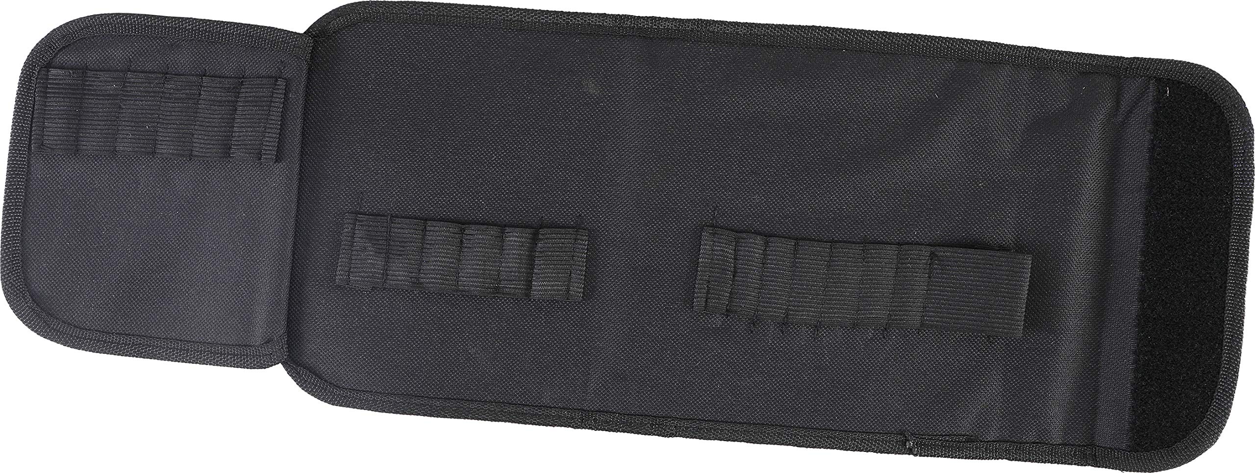 BGS 379-LEER | Empty Wallet for BGS 379