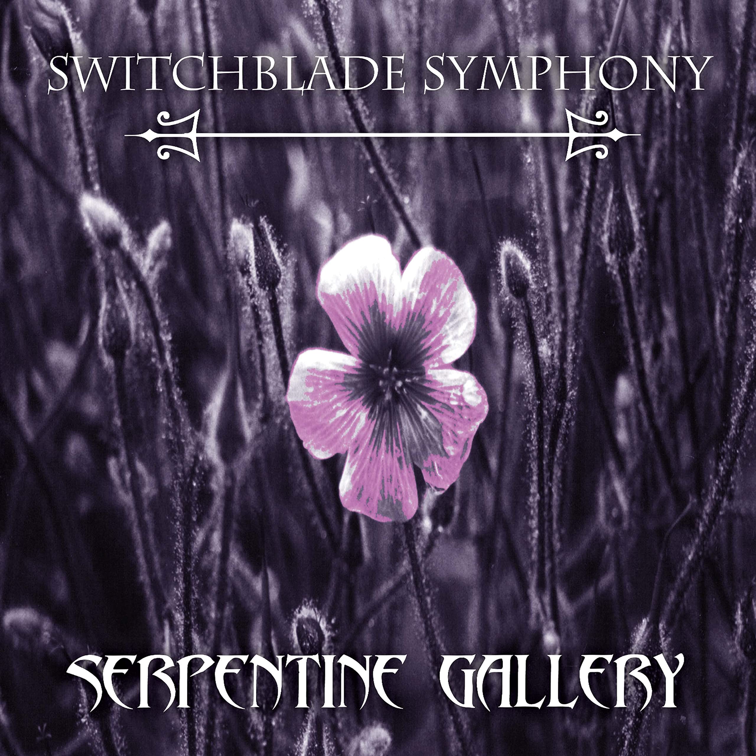 Serpentine Gallery – Purple Marble