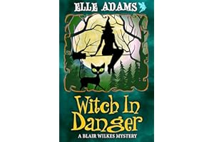 Witch in Danger (A Blair Wilkes Mystery Book 3)
