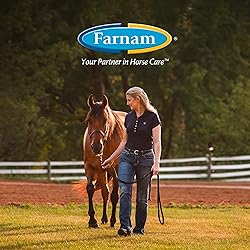 Farnam SuperMask II Horse Fly Mask Without