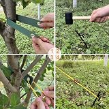 Aoipend Heavy Duty Tree Stakes Kit - 3 Metal Stakes, 40ft Guy Lines view 2