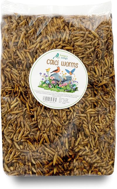 Hungry Wings Wild Bird Food Calci Worms 500g