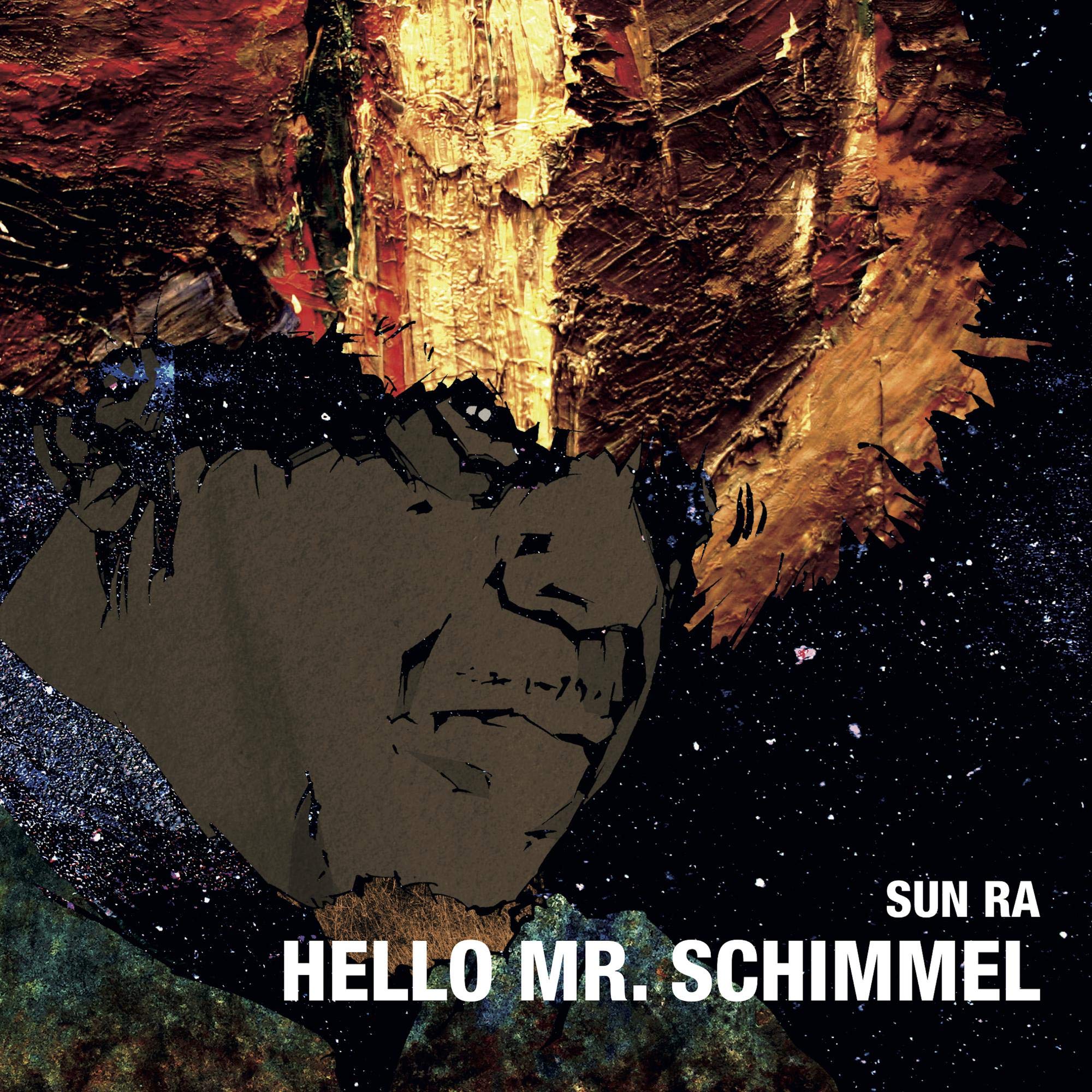 Hello Mr. Schimmel [7" VINYL]