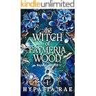 The Witch of Faymeria Wood: Beyond the Veil book 1