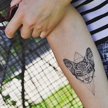 Tatouage Temporaire Sphynx Cat 2 Pieces Ohmytat Com Amazon Fr Beaute Et Parfum