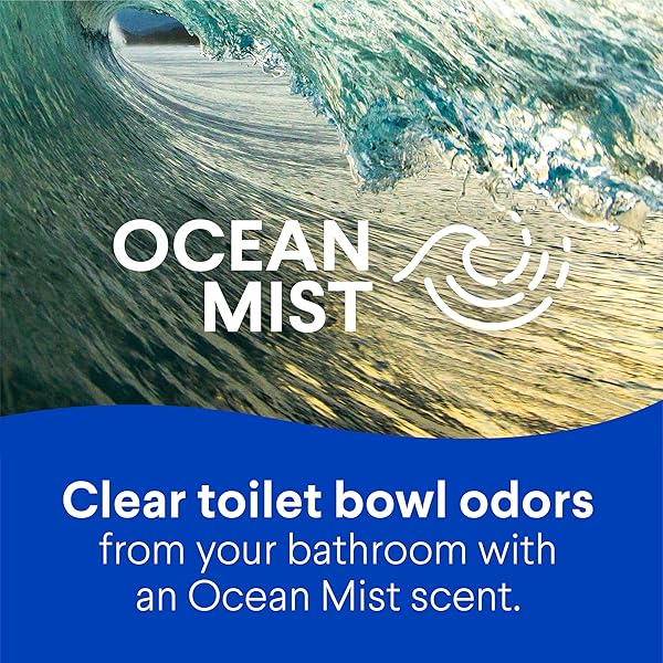 CLOROX TOILET BOWL CLEANER CLINGING BLEACH GEL, OCEAN MIST, 24 FL OZ, PACK OF 2 (PACKAGE MAY VARY)