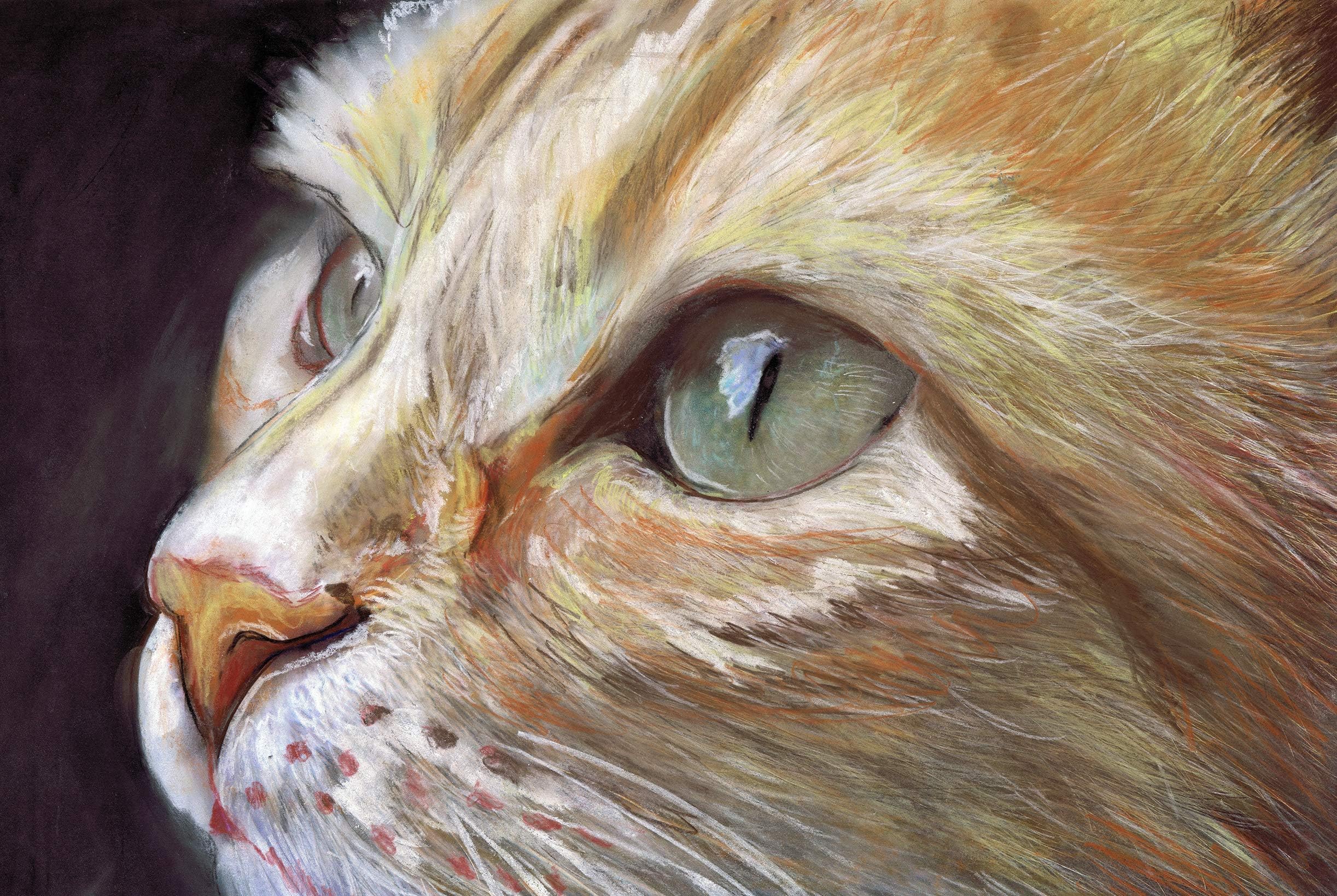 Ginger Cat Art Print by Oscar Jetson: Vibrant Pastel Wall Decor, Hand-Signed, Gift for Feline Lovers - Available in A4, A3, 8x10 Sizes