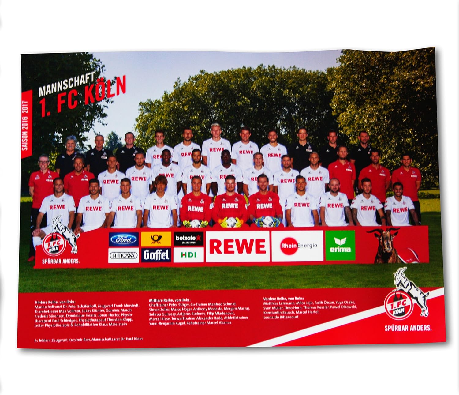 1 Fc Koln Team Plakat Poster Mannschaftsposter 61 X 91 Cm Plus Gratis Aufkleber Forever Koln Amazon De Sport Freizeit