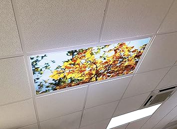 Autumn Tree 2ft X 4ft Drop Ceiling Fluorescent Decorative Ceiling Light Cover Skylight Film Amazon Com