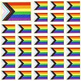 30pcs Rainbow Progress Flag Iron on Patches Pride Day Embroidered Sew Applique LGBT Repair Patch DIY Crafts for Clothing Jacket Jeans Pants Dress Backpack Hat Decorations